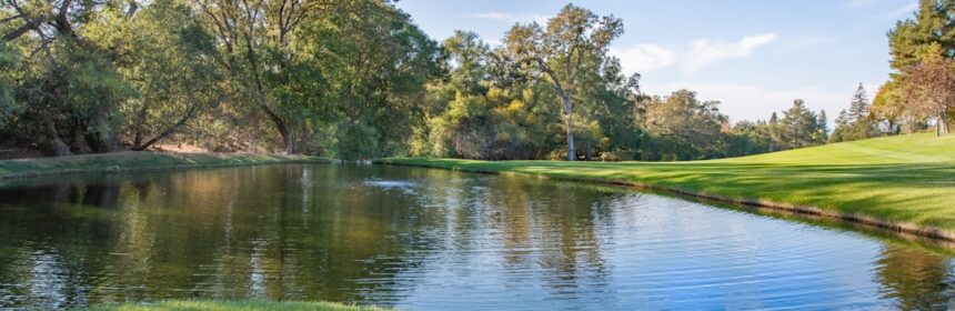 Photo Trap renoveren