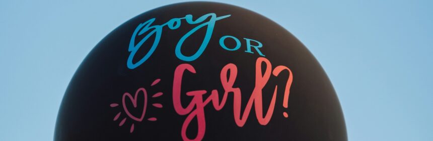 gender reveal party vieren