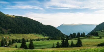 Photo andijvie koken