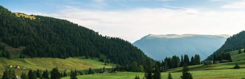 Photo andijvie koken