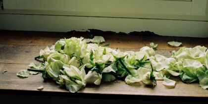 Photo cucumber salad recipe