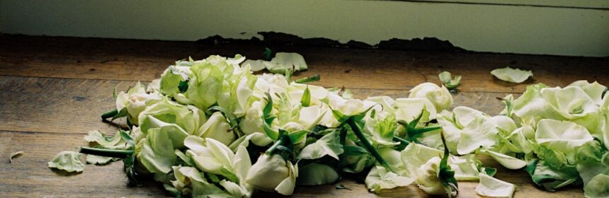 Photo cucumber salad recipe