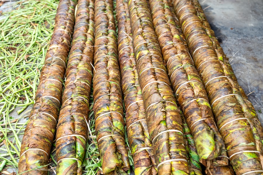Photo artichokes prepare