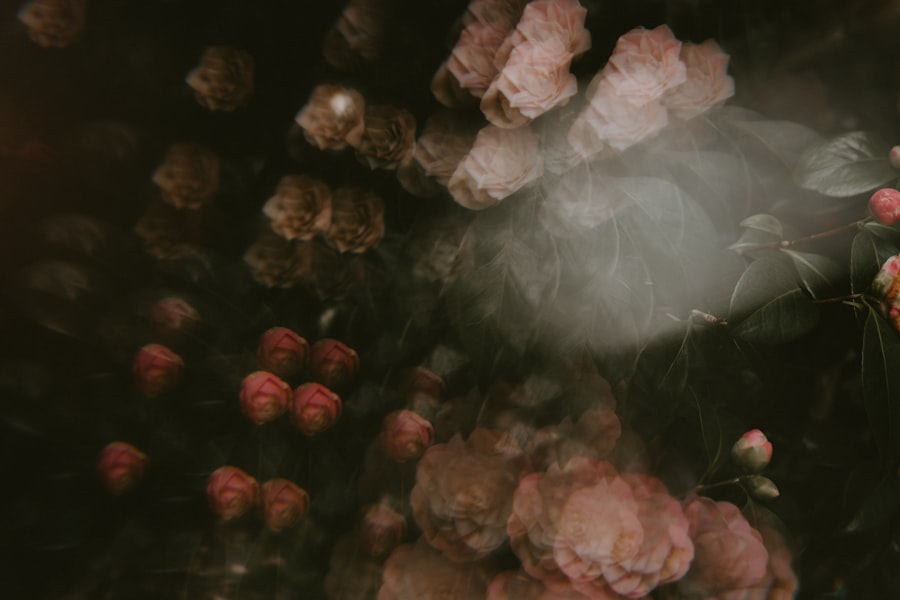 Photo bloemkool koken